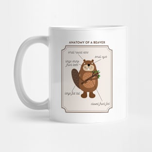 Anatomy of a Beaver Mug